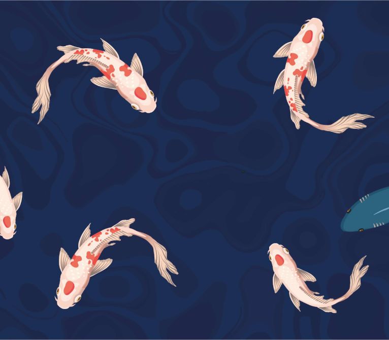 Promotions NSKNakanishi France